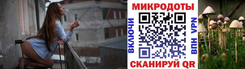 Галлюциногенные грибы прущие грибы  Мглин 